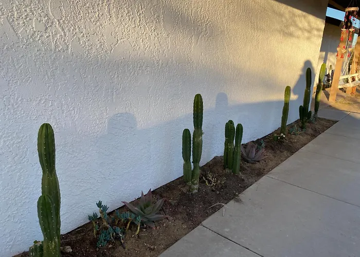 Electroliquid\'S Casa Pueblo Joshua Tree