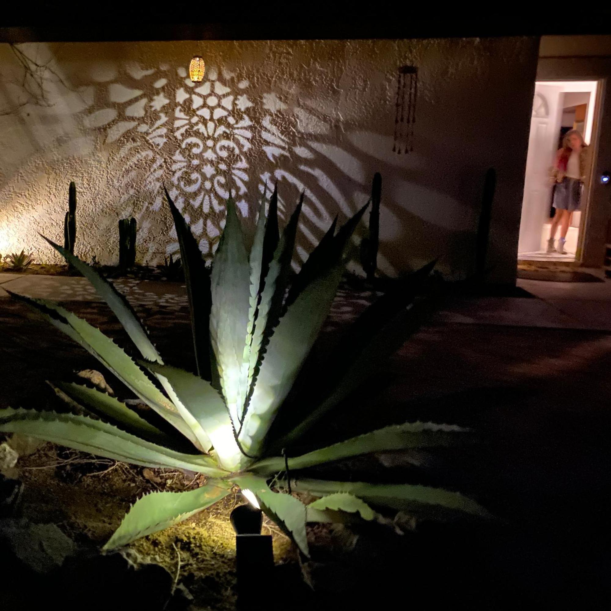 Electroliquid's Casa Pueblo Joshua Tree