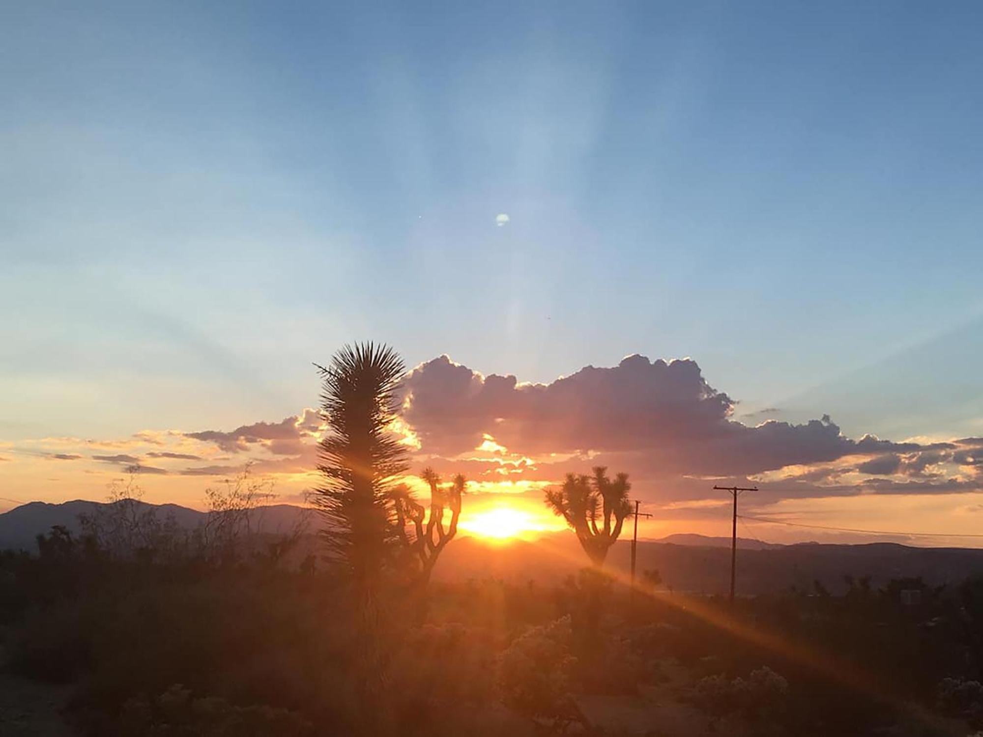 Electroliquid's Casa Pueblo Joshua Tree